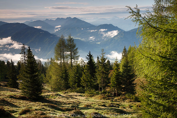 Gailtaler Alpen Natur Morgenstimmung Berglandschaft Krnten Berge ber Oberdrautal Alm Gipfel-Panorama