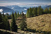 Alm Bume Naturbild vor Gailtaler Bergkamm Julische Alpenpanorama mit Triglav Gipfel in Slowenien