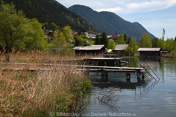 Weissensee Ufer in Techendorf Wasserstegs Schilf Bootshuser vor Bergpanorama