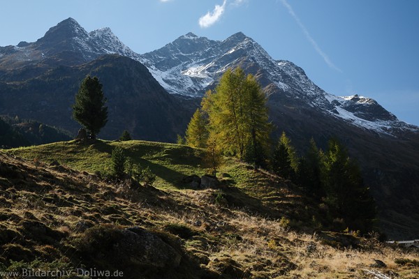 Rieserferner Berge Panorama Naturfoto Defereggental Alpenlandschaft Hgel Grnbume