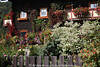 Hauswand Blumenflle Foto: Kals-Grossdorf Gasthaus Gartenschmuck hinter Zaun
