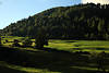 Virgental Grnwiesen Bergwald Naturfoto bei Obermauern Grnoase Osttirols saftiger Bergland