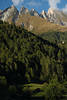Virgental Htte unter zerklfteten Ochsenbug Gipfelfelsen Alpenwald Grnbume Naturfoto