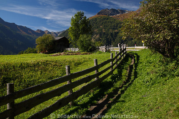 Virgental Naturfoto Alpenlandschaft Grnwiese-Zaun Almweg Wanderurlaub sterreich