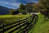 Virgental Naturfoto Alpenlandschaft Grnwiese-Zaun Almweg Wanderurlaub sterreich