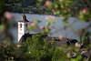 Apfelblte Frhlingsbild ber Sankt Wolfgang Kirchenturm Dcher Wasserblick See