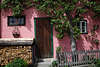 Hallstatt urig schicke Hausfront Fotos in violett-Farbe & Baum an Wand dicht wachsen am Eingangstr