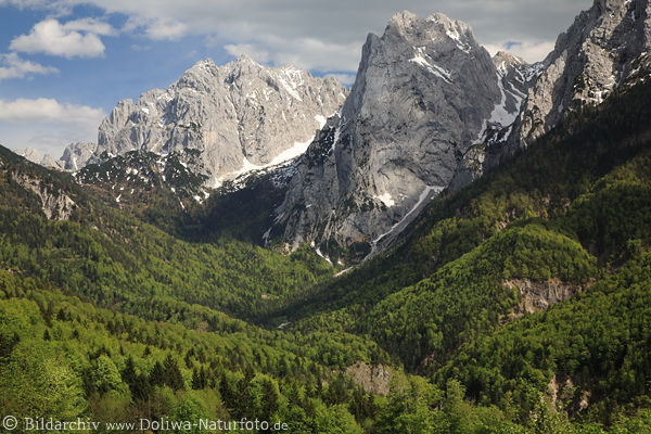 Alpenlandschaft Kaisergebirge Natur Berggipfel Felsen Frhling Schnee grnes Tal Canyon
