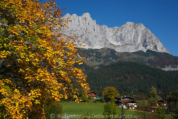 Going Herbstidylle in Alpenlandschaft Wilder Kaiser Felsen-Bergmassiv Naturfoto