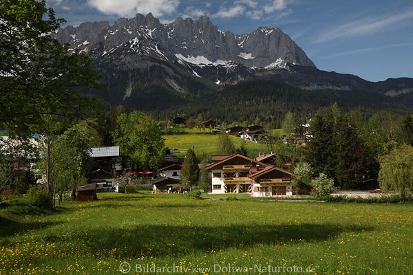 Going Naturidyll vor Berglandschaft Wilder-Kaiser Skyline Tiroler Alpen schner Urlaub