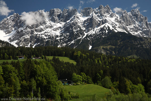 Kaisergebirge Felsmassiv Gipfel mit Schnee grnes Bergtal Alme Htten