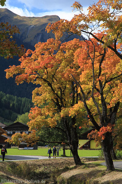 Herbst Farben an Loisach Wanderallee in Lermoos Touristen in Berglandschaft spazieren