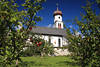 Apfelgarten um Kirche Sankt Georg in Obermieming Foto Bume rote pfel