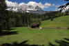 Bergalpe Kuhweide Naturfoto Frhling vor Kaisergebirge Alpenlandschaft Almwiese Bild