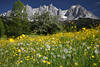 Berge-Frhlingsgrn Gelbwiese vor Gipfel-Skyline Alpen-Gebirgslandschaft Naturbild