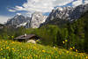 Alpenfrhling Naturbilder Berglandschaft Kaisergebirge Blumenwiese Felsengipfel Schneereste grnes Tal
