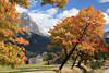 Lermoos Herbstfoto Alpen Bergdorf unter Zugspitzarena sterreich