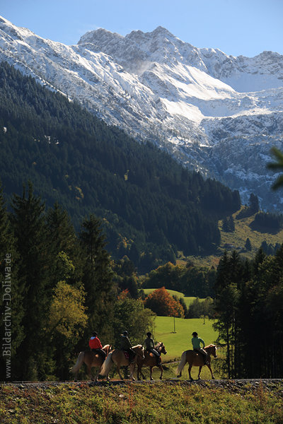Reitferien Ritt in Natur Allgu Berge Reitergruppe Reitausflug zu Pferd in Herbst Berglandschaft