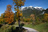 813079_ Oberstdorf Wanderweg Foto Herbst Berglandschaft Blick auf verschneite Allguer Alpen mit Skischanzen