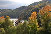 Weissensee Naturfoto: Uferbume Bergwald Wasserlandschaft Herbstbild Allgu Alpensee bunte Farben