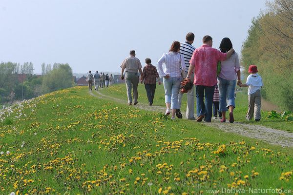 Elbdeichblte Altesland Familien Paare Hand in Hand Frhling-Spaziergang