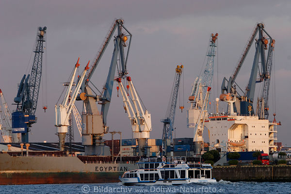 Hamburg Hafenkrne Concordia am Containerschiff MS Egyptian