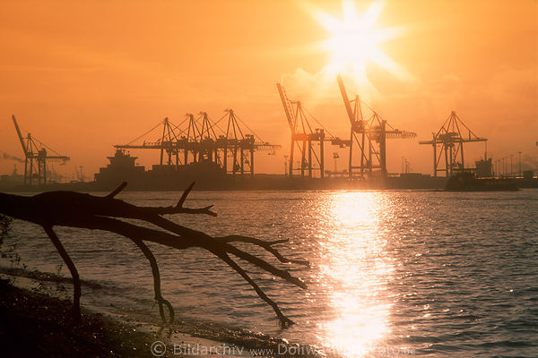 Elbe Sonnenaufgang-Foto ber Krne velgnne Containerhafen Hamburg Romantik-Bild