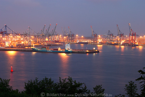 Hamburg Containerhafen rote Nachtlichter Panorama velgnne Elbe Wasserblick