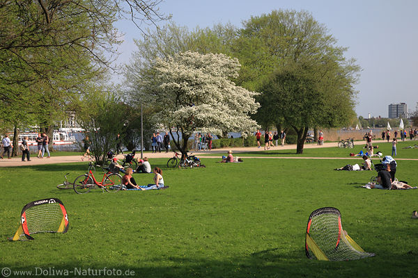 Hamburger Alsterpark Wiese Besucher Frhlingsblte Naturoase