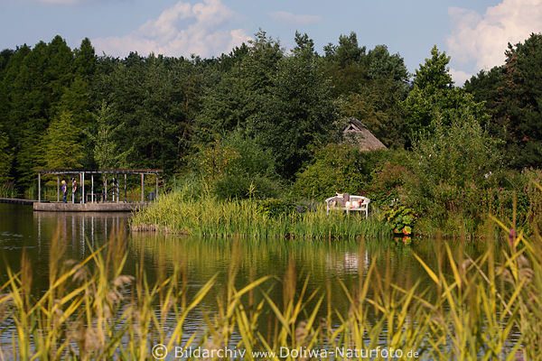 Hamburg Botanischer Garten Park-Teich Wasserufer Naturidylle