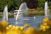 Wasserfontnen Lichtspiele hinter gelben Blumen in Hamburg Park Planten un Blomen