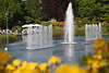 Wasserfontnen Landschaft Hamburg Wasserlichtspiele gelbe Blumen Park Planten un Blomen