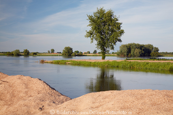 Hitzacker Sandufer Elbe Flulandschaft Hochwasser Sandsperre vor Flutkatastrophe