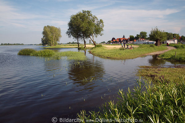 Elbe-Flussufer Hitzacker Hochwasser gefhrdeter Urlaubsort