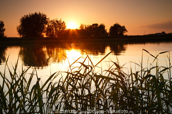 Elbe Romantik Sonnenuntergang ber Fluufer Wasserlandschaft Naturfoto