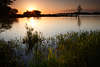 108583_Elbe-Romantik Sonnenuntergang ber Wasser Naturfoto Flulandschaft Stimmung im Gegenlicht