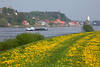 Elbdeichblte vor Lauenburg Stadt Schiff in Wasser Frhlingsblumen Naturlandschaft