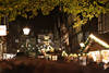 Weihnachtsmarkt Celle Nachtfoto Adventgasse Besuchermassen unter Baum in Altstadt