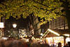 Celle Weihnachtsmarkt-Gasse Nachtfoto Altstadtallee unter Baum historische Fachwerkhuser Adventlichter
