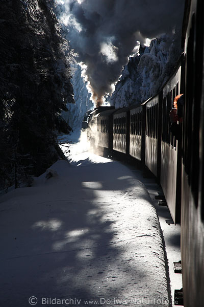 Brockenbahn rauchende Dampflok Foto dunkel, dramatisch im Wald Harz Winterlandschaft