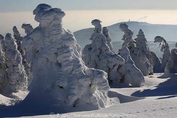 Harz Schneehexen Winterbild windgeformte Schneegestalten vor Wurmberg-Schanze