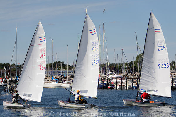 Kieler Woche Foto Segler Segelboote Trio in Wind im Schilksee Sporthafen an Kieler Frde Wasser