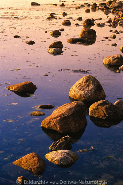 Glhende Steine in Meerwasser Naturfoto Farbstimmung in Abendlicht Ostseekste Insel Poel