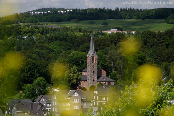 Berleburger Kirche ber Altstadt hinter Gelbblumen Wald Landschaft