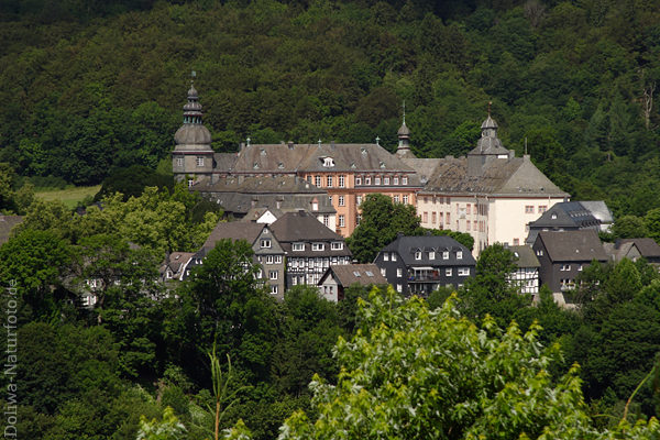 Schloss Berleburg Panorama im Wald Graf-Residenz Frstentum Sayn Wittgenstein