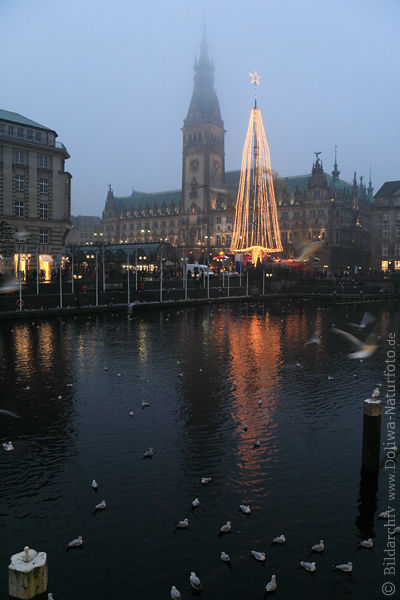 Weihnachtsbaum am Rathaus ber Kleine Alster in Hamburg