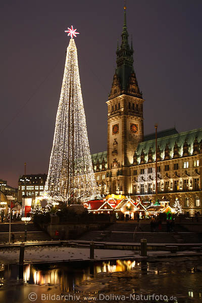 Weihnachtsbaum Rathaus Lichter ber Kleine Alster Winterbild Tauben auf Eis & Schnee in Hamburg