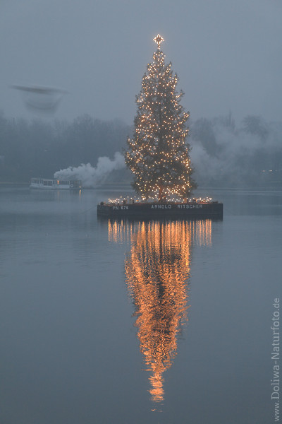 Christbaum Alster Tannenbaum Weihnachtsbaum in Nebel am Schiff in Wasser
