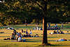Alsterwiese mit Menschen in Abendsonne Hamburger grillen klnen Picknick auf Parkwiese