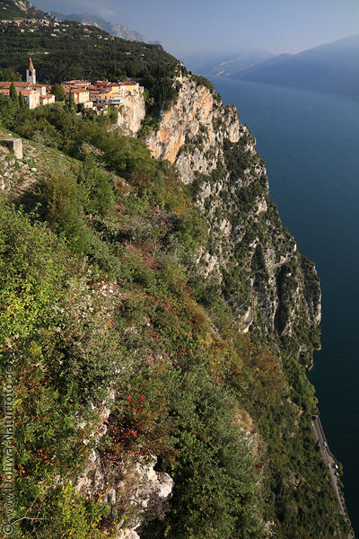Tremosine Steilufer Gardasee Foto Berge Orte Huser ber Felswand bis Gardesana Wasserufer